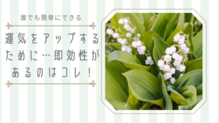 運気を良くする方法　即効性